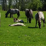 Διαμέρισμα La Casa Strandweg Steinberg (Schleswig-Holstein)