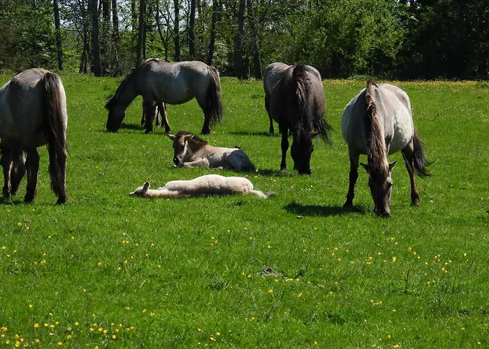 Διαμέρισμα La Casa Strandweg Steinberg (Schleswig-Holstein)
